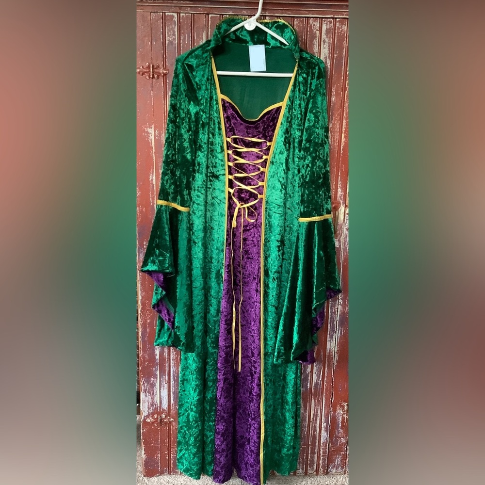 NWT!  Costume Velvet Renaissance Medieval Dress Green and Purple (size Large-XL)